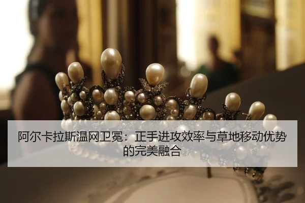a-er-ka-la-si-wen-wang-wei-mian-zheng-shou-jin-gong-xiao-lv-yu-cao-di-yi-dong-you-shi-de-wan-mei-rong-he-2-621.jpg