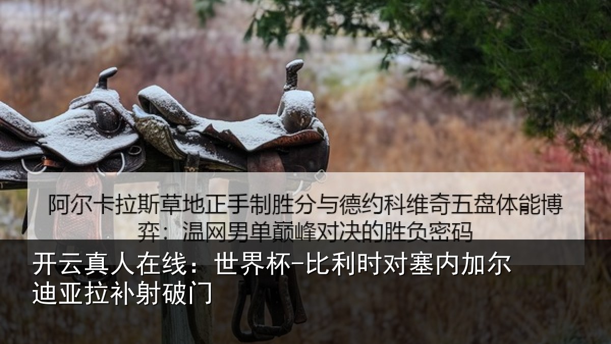 开云真人在线:世界杯-比利时对塞内加尔迪亚拉补射破门
