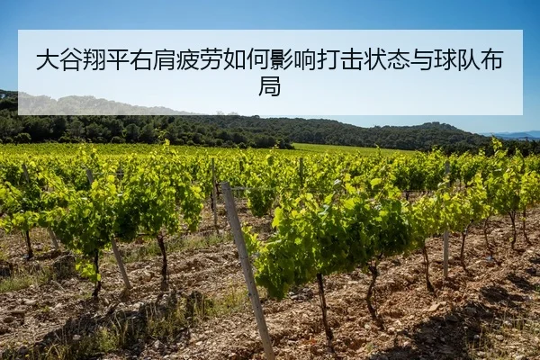 大谷翔平右肩疲劳如何影响打击状态与球队布局