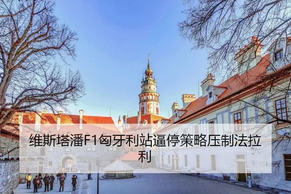 wei-si-ta-pan-xiong-ya-li-zhan-bi-ting-ce-lve-ya-zhi-fa-la-li-3-715.jpg