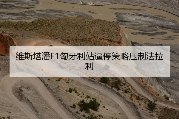 维斯塔潘F1匈牙利站逼停策略压制法拉利