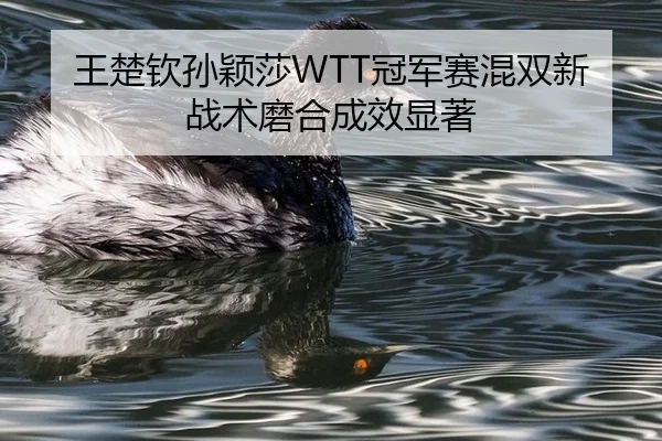 wang-chu-qin-sun-ying-sha-guan-jun-sai-hun-shuang-xin-zhan-shu-mo-he-cheng-xiao-xian-zhu-3-842.jpg