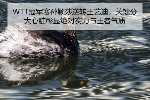 WTT冠军赛孙颖莎逆转王艺迪，关键分大心脏彰显绝对实力与王者气质